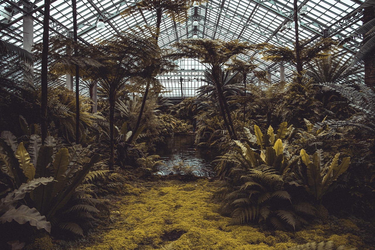 découvrez l'importance de la préservation des écosystèmes pour maintenir l'équilibre naturel de notre planète. apprenez des stratégies essentielles pour protéger la biodiversité et promouvoir un avenir durable.
