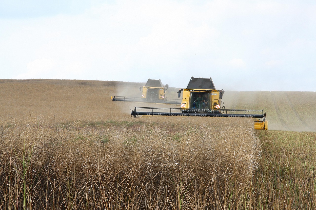 découvrez l'agriculture durable, une méthode innovante qui préserve l'environnement tout en répondant aux besoins alimentaires croissants. apprenez comment cette approche favorise la biodiversité, réduit les émissions de co2 et améliore la qualité des sols pour un avenir alimentaire responsable.