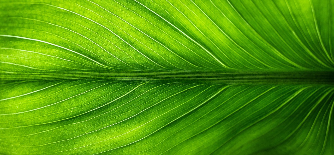 découvrez les secteurs verts, cruciaux pour un avenir durable, alliant innovation et respect de l'environnement. explorez les opportunités et les tendances des marchés écologiques et soutenez une économie plus verte.