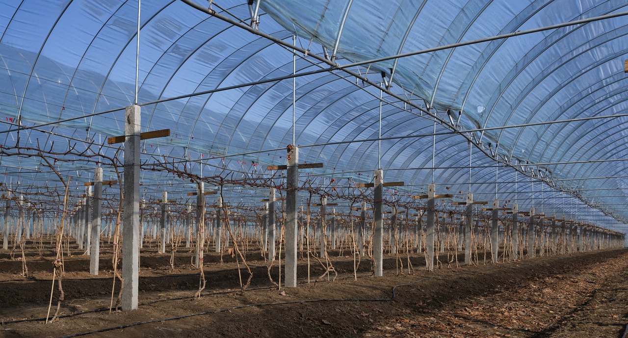 découvrez le rôle des gaz à effet de serre dans le changement climatique et leur impact sur notre planète. apprenez comment réduire votre empreinte carbone et contribuer à un avenir plus durable.