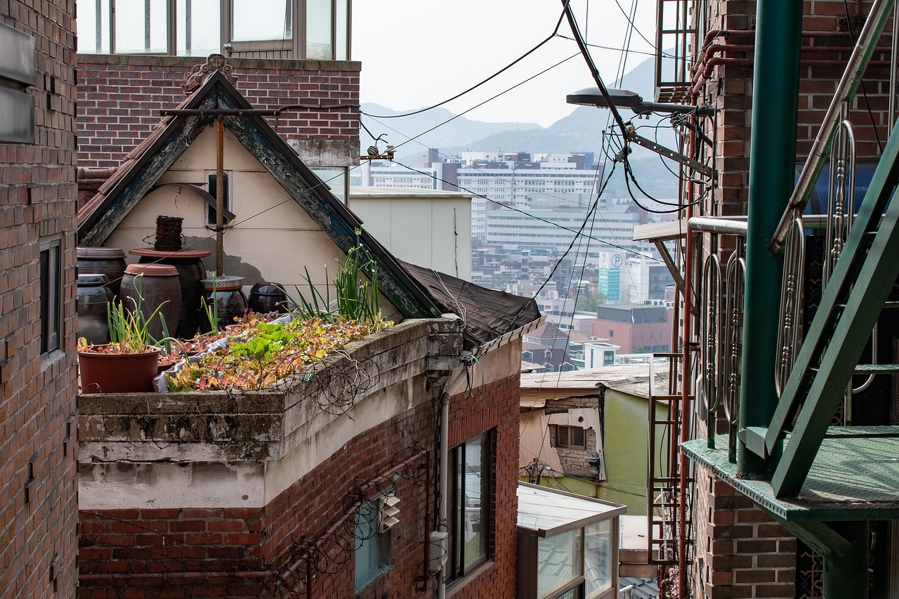 découvrez l'art de l'urban gardening : transformez votre espace urbain en un oasis de verdure. astuces, conseils et idées pour cultiver des plantes, légumes et fleurs en pleine ville, même sur un balcon ou une petite terrasse.