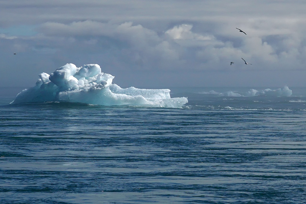 découvrez les impacts du changement climatique sur notre planète, les causes des bouleversements environnementaux et les solutions pour un avenir durable. engagez-vous dans la lutte contre le réchauffement climatique.