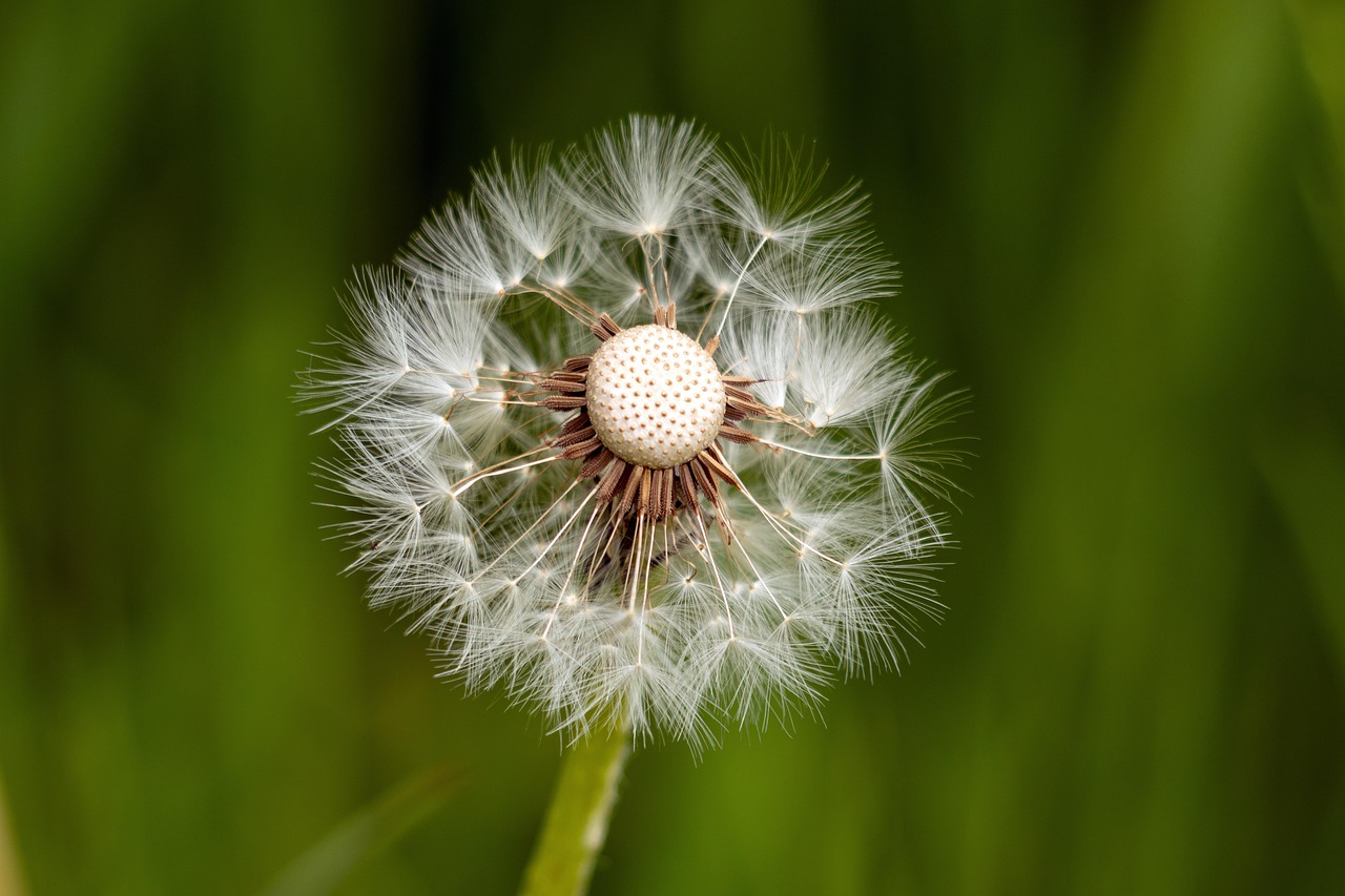 découvrez le pouvoir de la résilience : comment surmonter les défis, retrouver la force intérieure et transformer les épreuves en opportunités. apprenez à cultiver cette qualité essentielle pour mieux faire face aux obstacles de la vie.