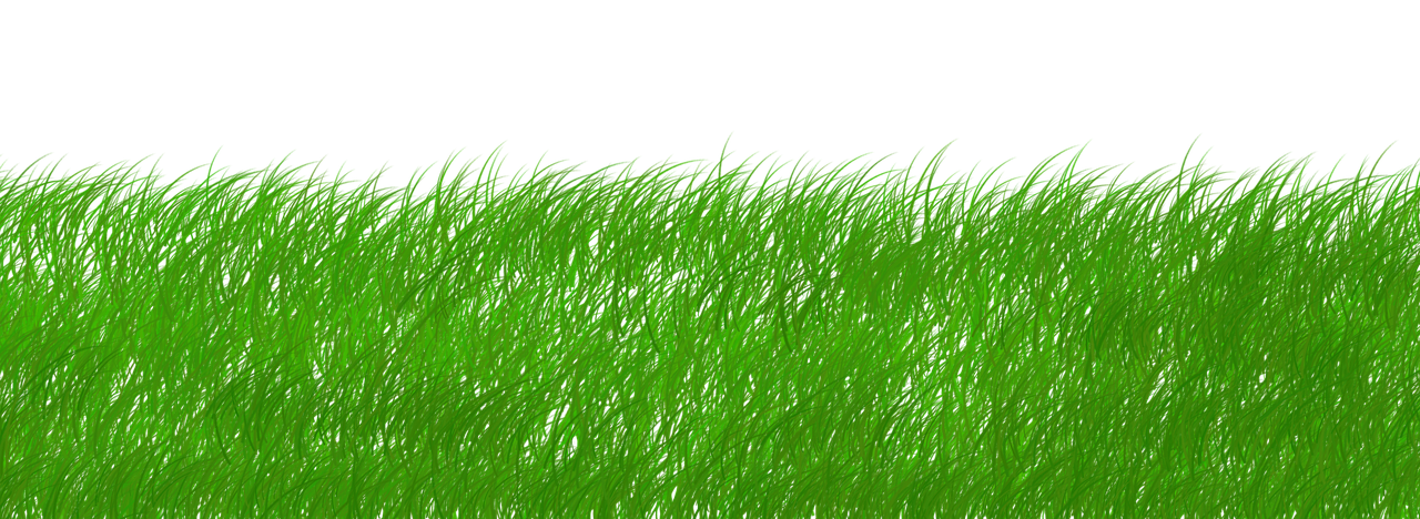 découvrez comment adopter un mode de vie durable et responsable grâce à nos conseils pratiques, astuces écologiques et solutions innovantes pour préserver l’environnement au quotidien.