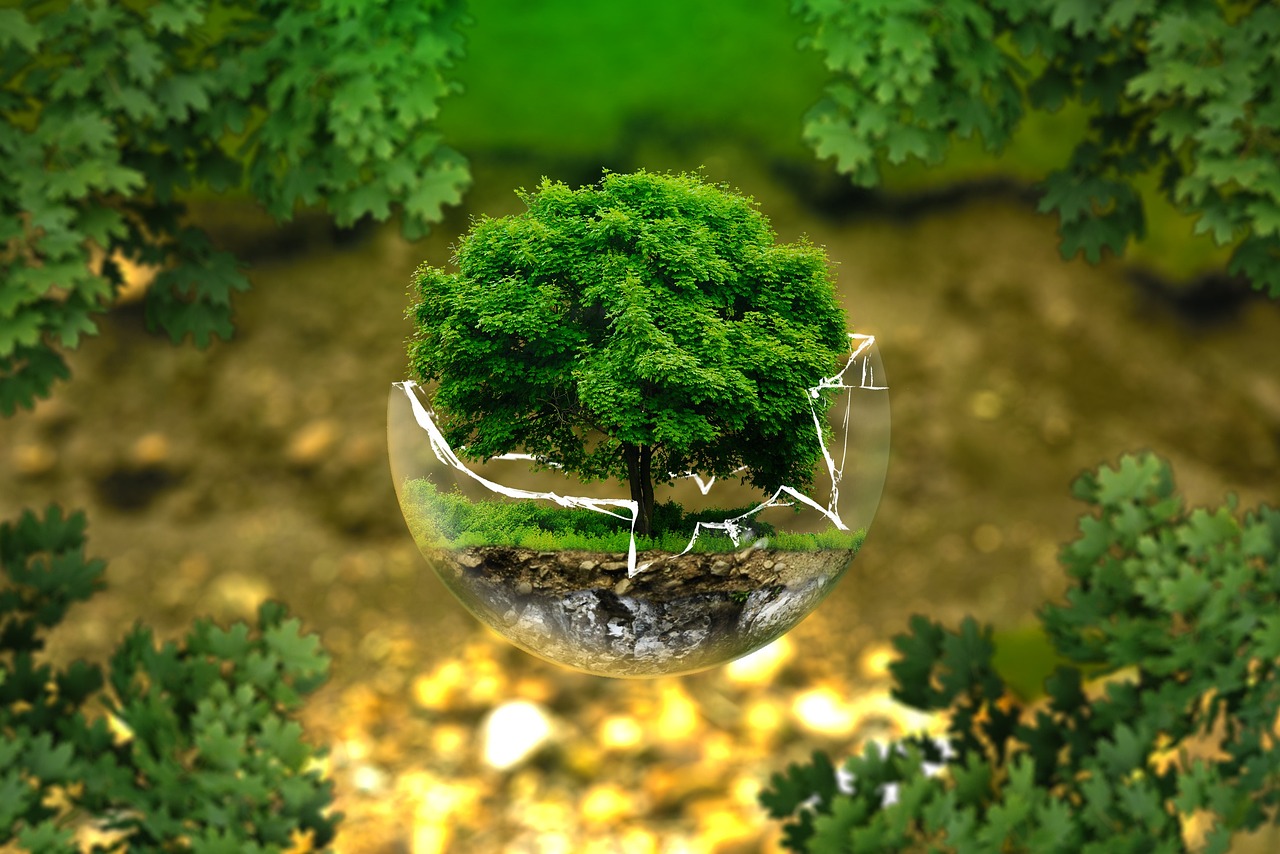 découvrez l'impact des mouvements environnementaux à travers le monde. explorez les actions, les leaders et les initiatives qui promeuvent la protection de notre planète et sensibilisent à la conservation des ressources pour un avenir durable.