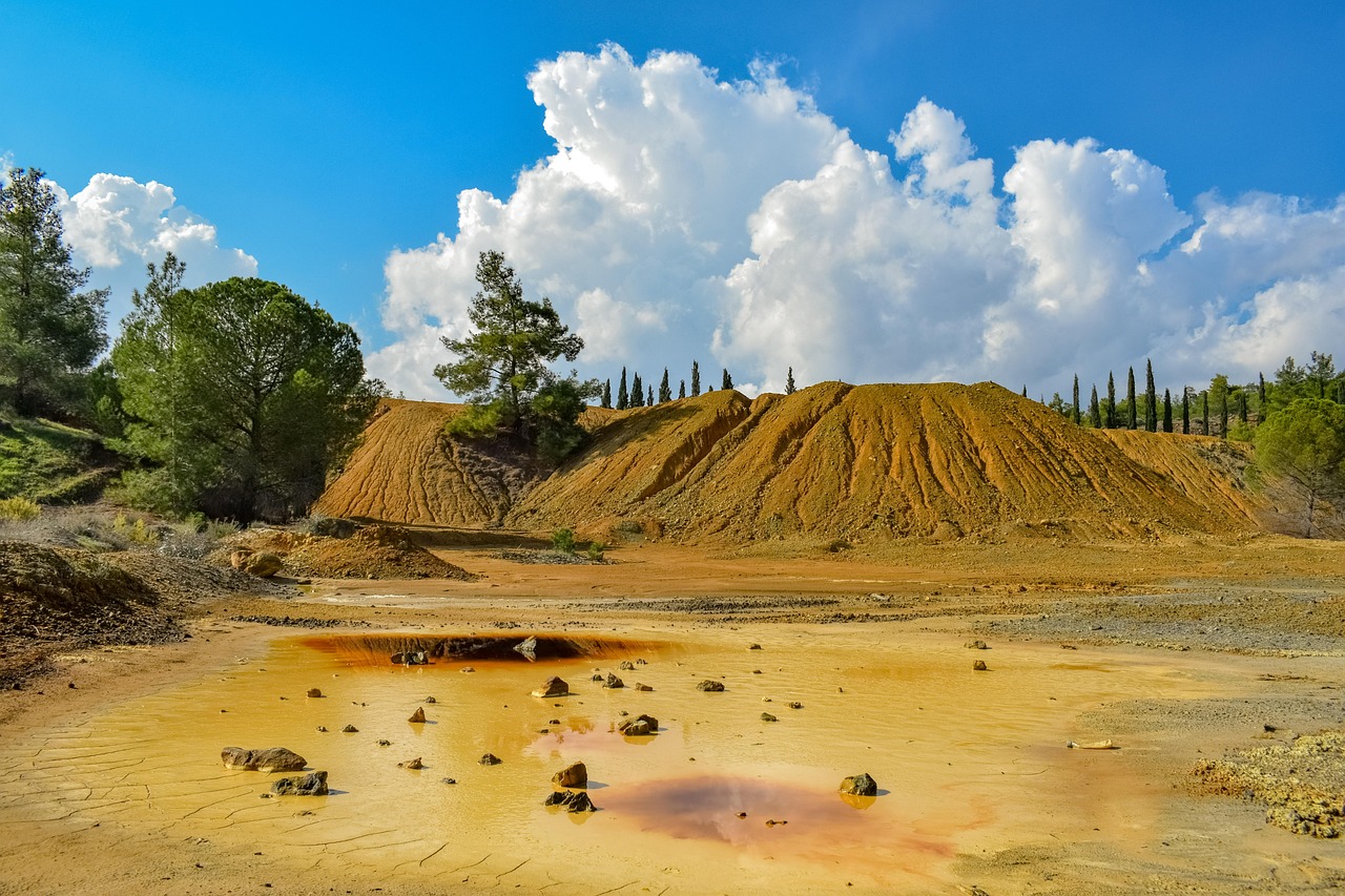 découvrez l'importance de la préservation des écosystèmes pour la biodiversité et la santé de notre planète. explorez des solutions durables et des actions concrètes à entreprendre pour protéger notre environnement.