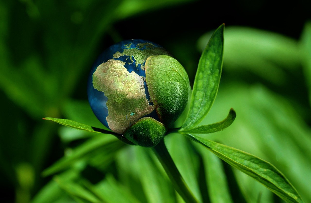 découvrez l'importance de la durabilité dans notre monde moderne. explorez les pratiques éthiques et écologiques qui visent à préserver notre planète pour les générations futures tout en promouvant un mode de vie responsable.