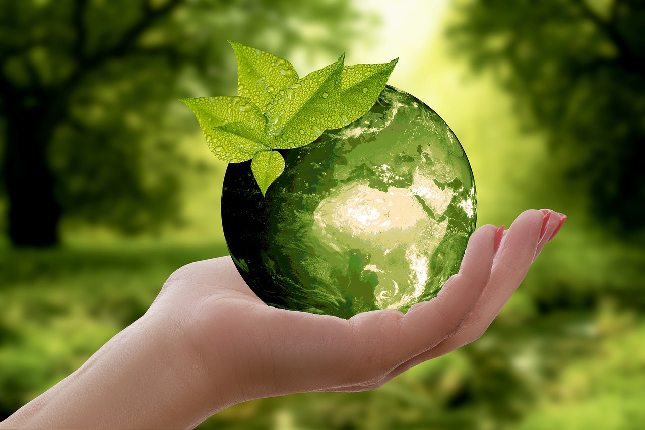 découvrez l'importance de la durabilité dans notre monde moderne. explorez des pratiques innovantes, des solutions écologiques et des stratégies pour un avenir plus responsable et respectueux de l'environnement.