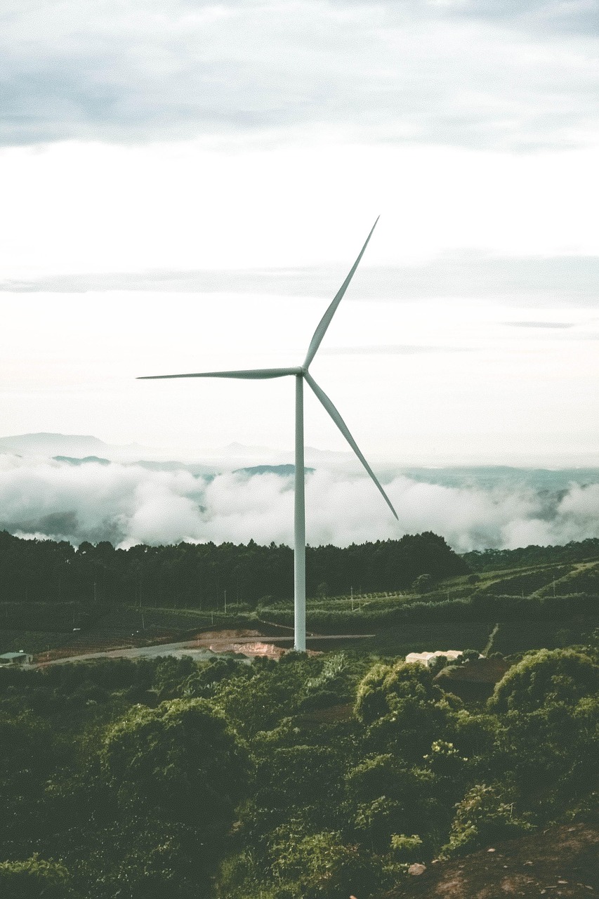 découvrez nos produits de nettoyage écologiques, efficaces et respectueux de l'environnement pour un intérieur propre et sain.