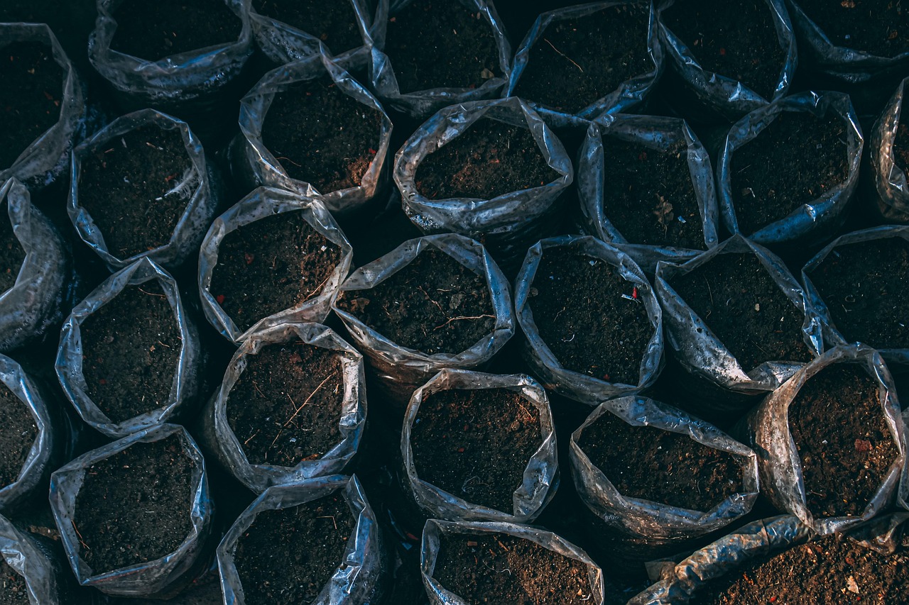 découvrez comment pratiquer le jardinage biologique sur votre balcon pour cultiver des plantes saines et naturelles, même en espace restreint.