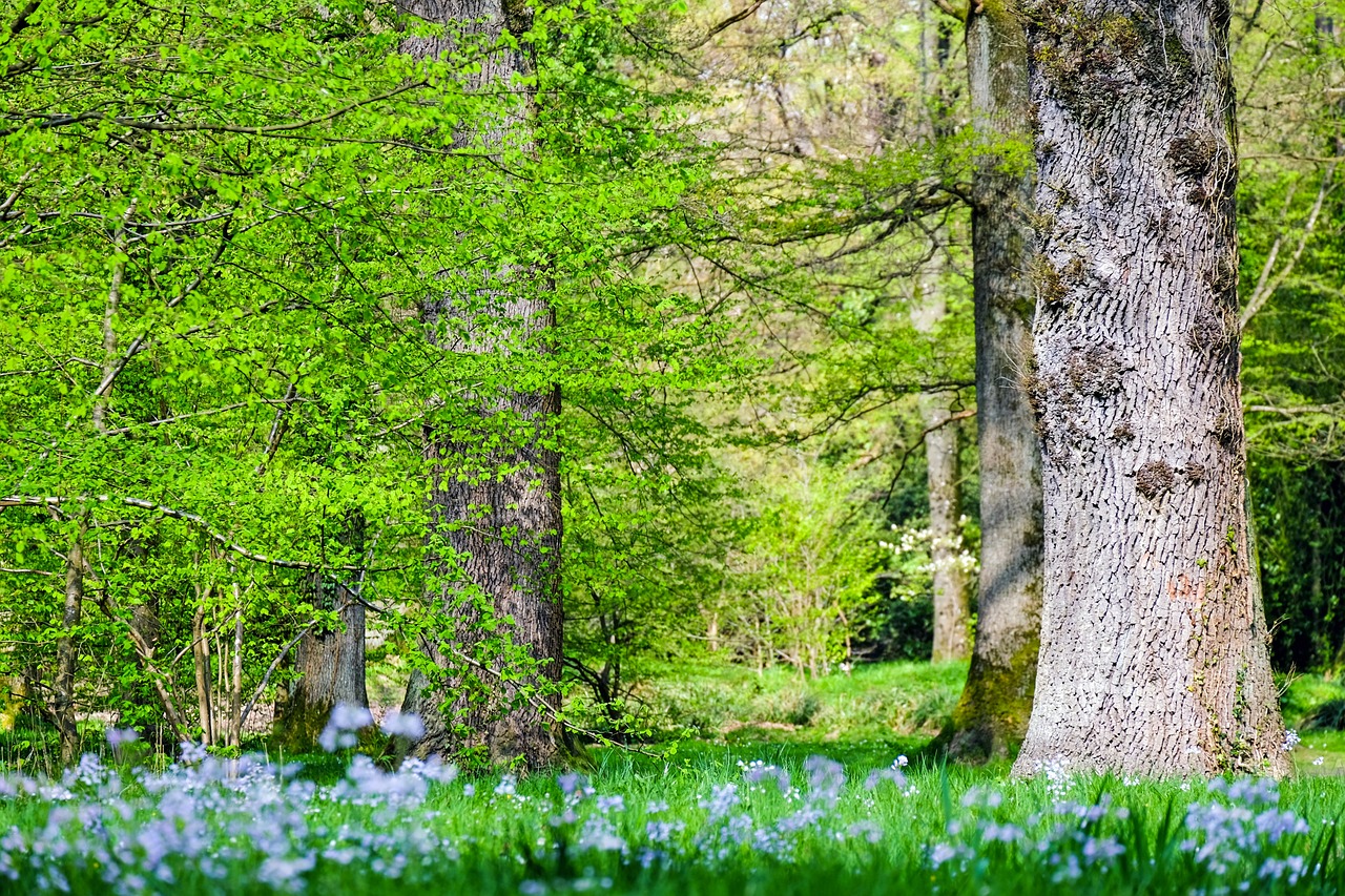 découvrez l'écologie urbaine, un domaine fascinant qui explore comment la nature interagit avec les villes. apprenez les stratégies durables pour améliorer la biodiversité, optimiser les espaces verts et promouvoir une coexistence harmonieuse entre l'homme et l'environnement en milieu urbain.