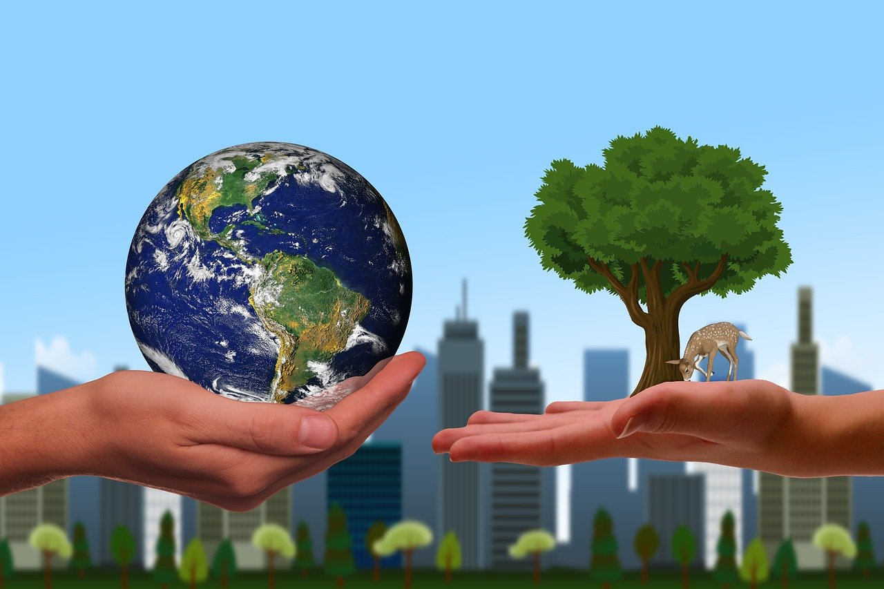découvrez les principes de la durabilité environnementale, des stratégies pour minimiser l'impact écologique et des solutions innovantes pour protéger notre planète tout en visant un développement économique responsable.