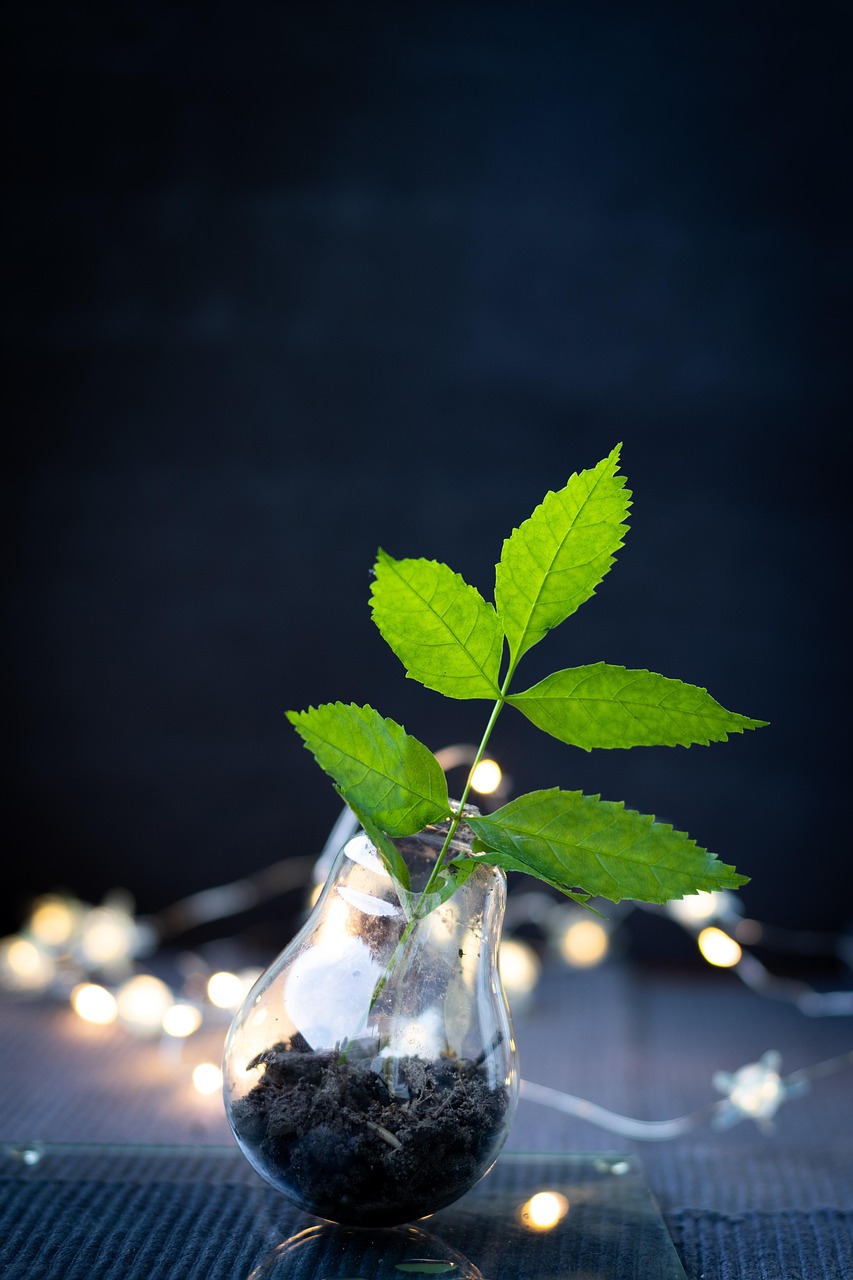 découvrez l'upcycling, une démarche écoresponsable qui transforme les objets destinés au rebut en créations uniques et durables, alliant créativité et respect de l'environnement.
