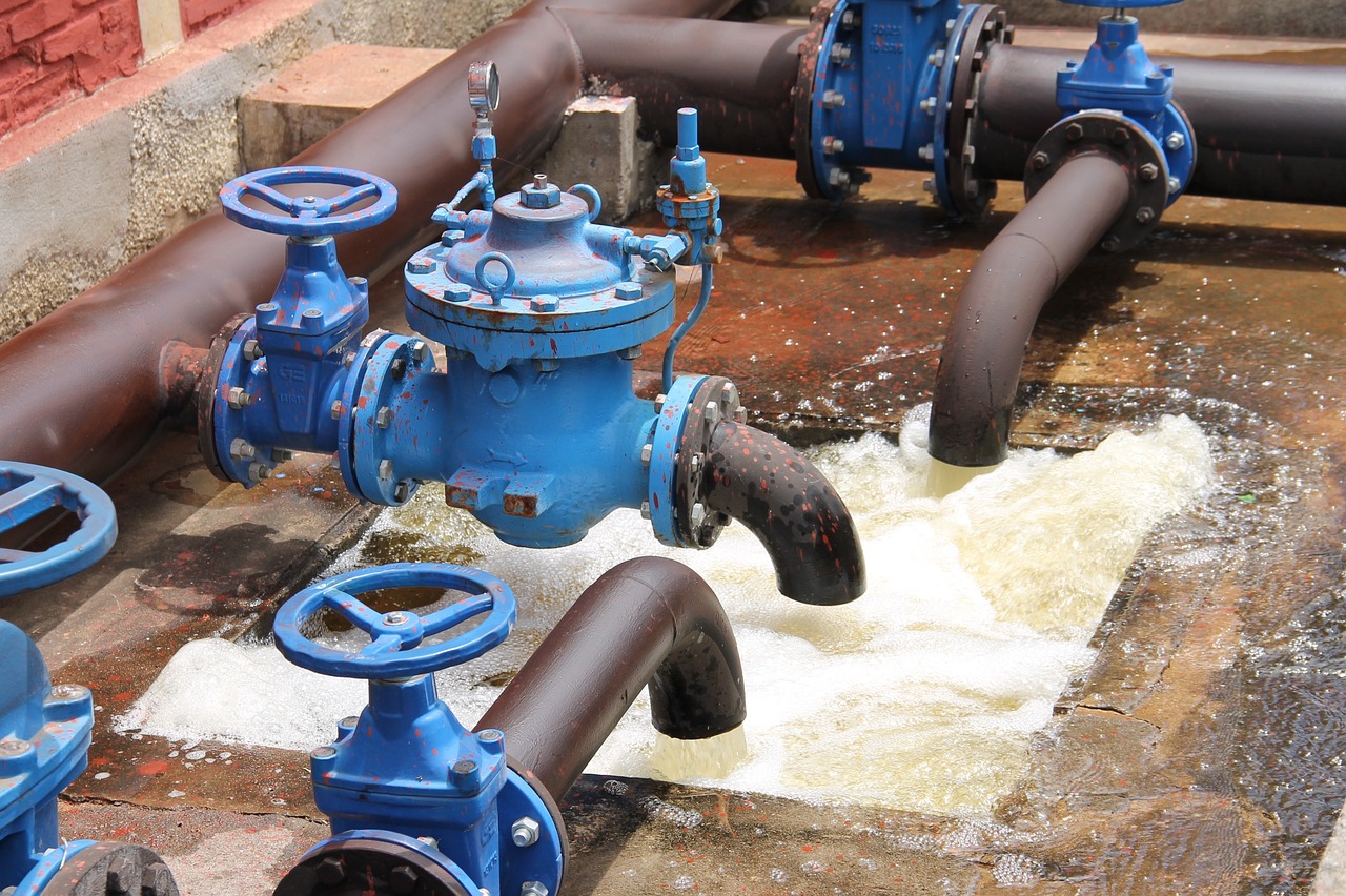découvrez l'importance des ressources en eau, leur gestion durable et les enjeux liés à leur préservation pour un avenir respectueux de l'environnement et des générations futures.