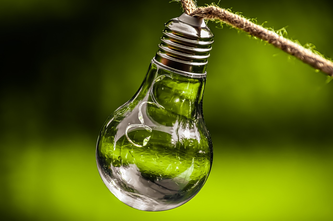 découvrez comment la durabilité influence notre avenir. explorez des pratiques écologiques, des innovations durables et des conseils pour vivre en harmonie avec notre planète tout en garantissant un avenir meilleur pour les générations futures.