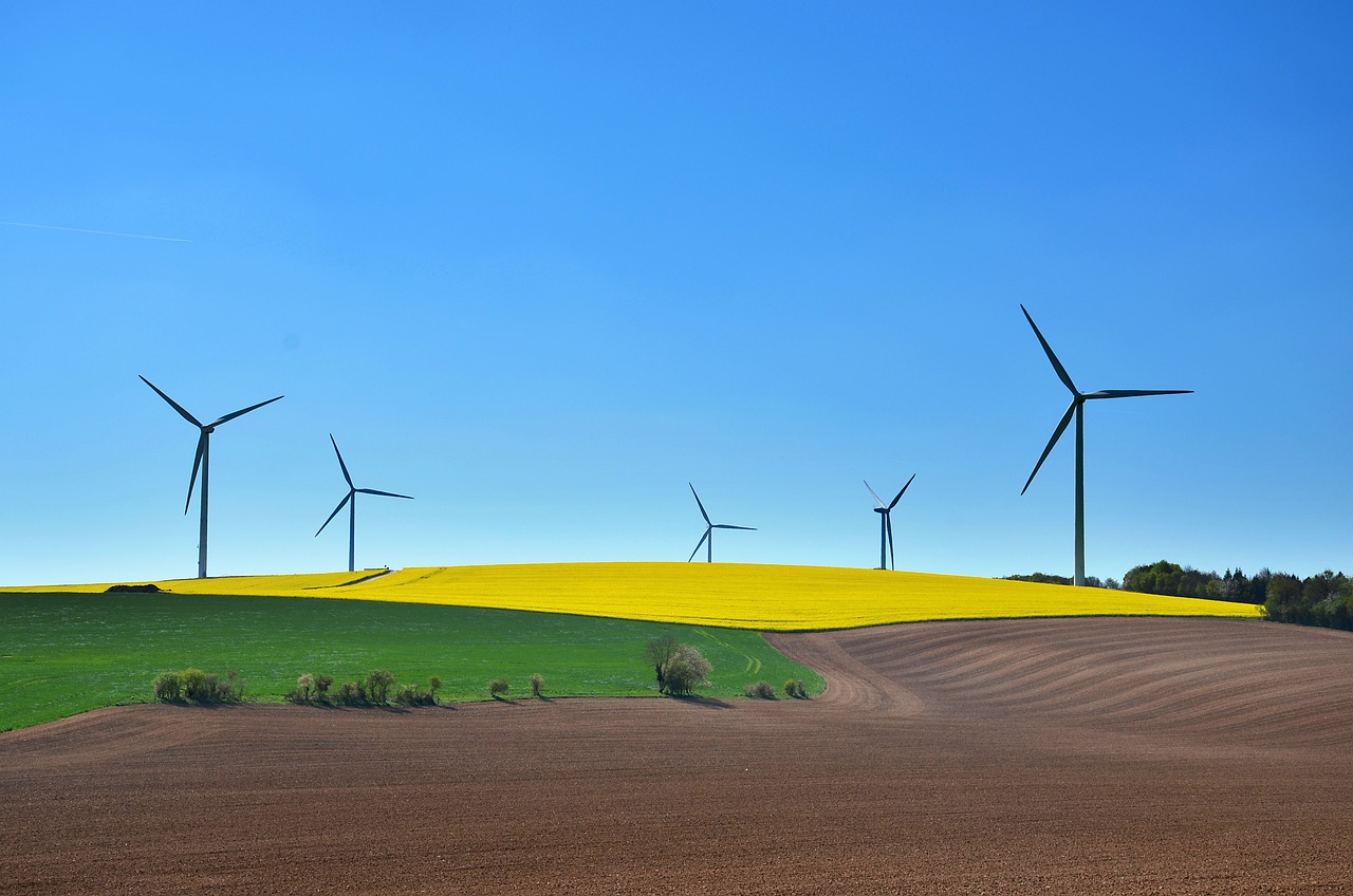 découvrez comment une exploitation durable contribue à la préservation de l'environnement tout en assurant une utilisation responsable des ressources naturelles. apprenez des pratiques innovantes et éthiques qui favorisent un avenir plus vert.