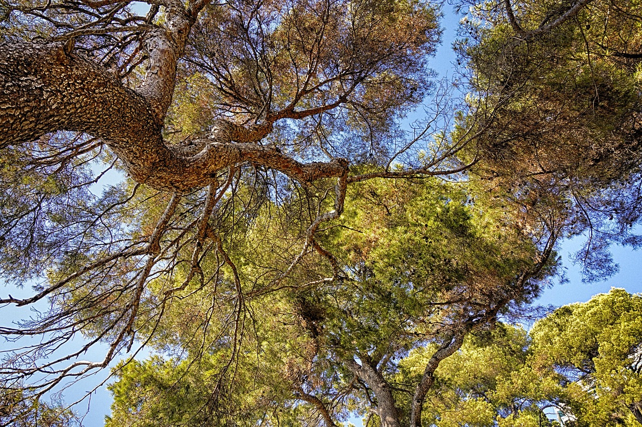 découvrez l'approche du sourcing durable, une stratégie essentielle pour garantir un approvisionnement responsable et respectueux de l'environnement. apprenez comment intégrer des pratiques éthiques dans votre chaîne d'approvisionnement et contribuer à un avenir plus durable.