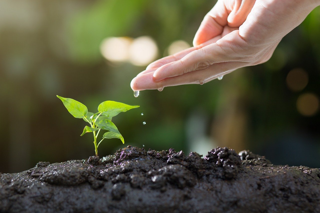 découvrez l'écologie urbaine, une discipline essentielle qui explore les interactions entre les humains et leur environnement dans les villes. apprenez comment les espaces urbains peuvent être durables et favoriser la biodiversité tout en améliorant la qualité de vie des citadins.