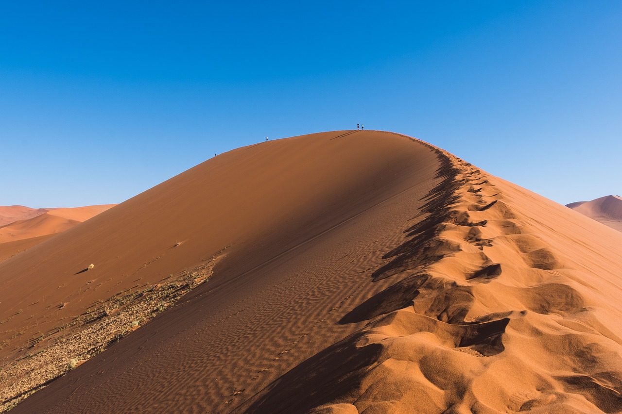 découvrez les enjeux climatiques majeurs qui impactent notre planète. explorez les causes du changement climatique, les conséquences sur l'environnement et les actions à entreprendre pour préserver notre avenir écologique.