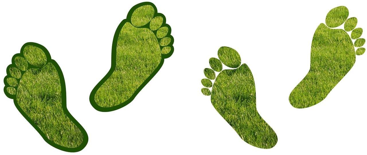 découvrez des stratégies efficaces pour réduire votre empreinte carbone et contribuer à la sauvegarde de l'environnement. explorez nos conseils pratiques et solutions durables pour un avenir plus vert.