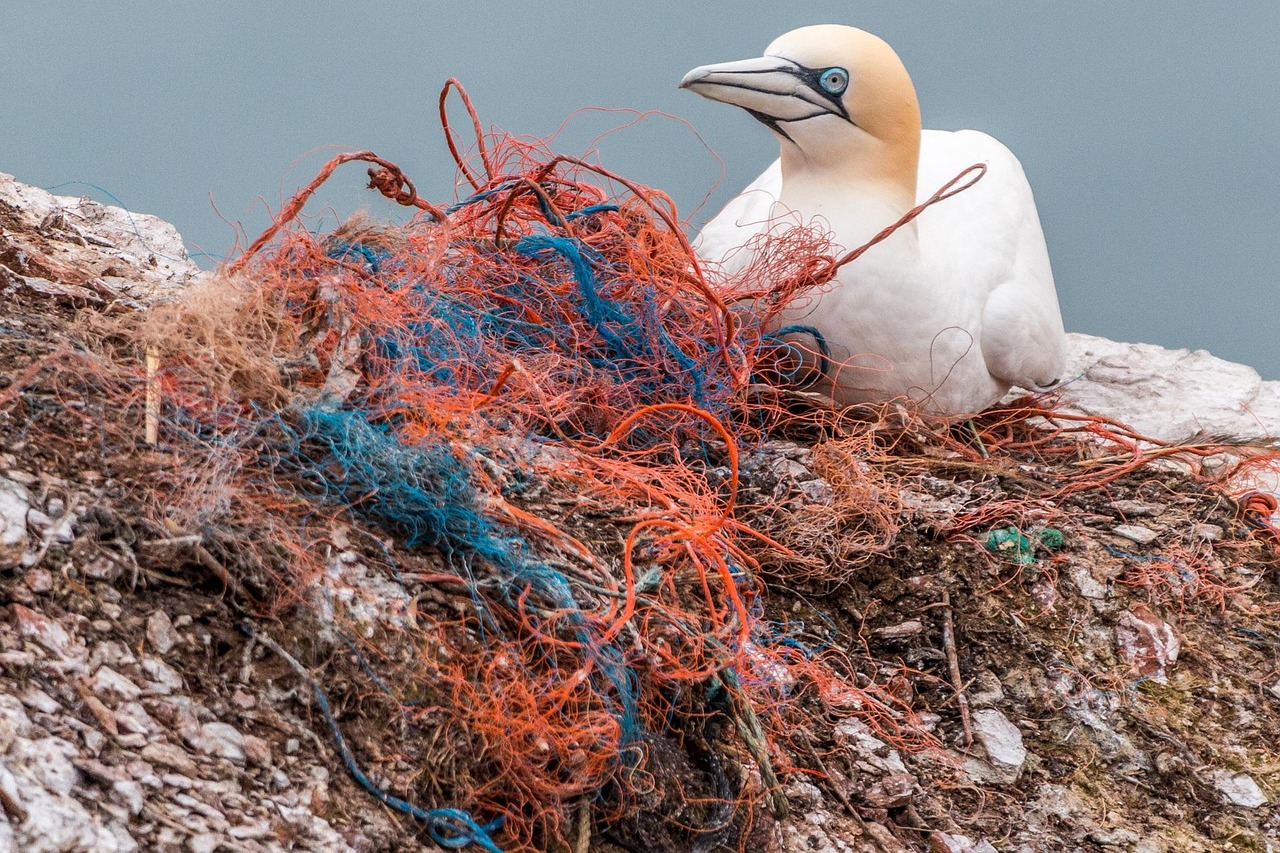 découvrez les enjeux de la pollution des sols, ses causes, ses conséquences sur l'environnement et la santé humaine, ainsi que les solutions pour préserver notre terre. agissons ensemble pour un avenir durable !