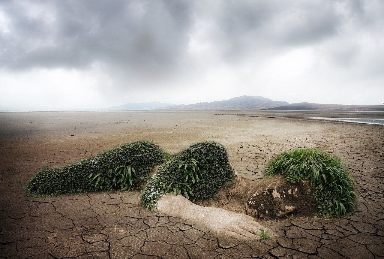 découvrez l'importance des partenariats environnementaux pour favoriser le développement durable. explorez comment la collaboration entre entreprises, gouvernements et organisations non gouvernementales contribue à la protection de notre planète et à la mise en œuvre de solutions innovantes contre le changement climatique.
