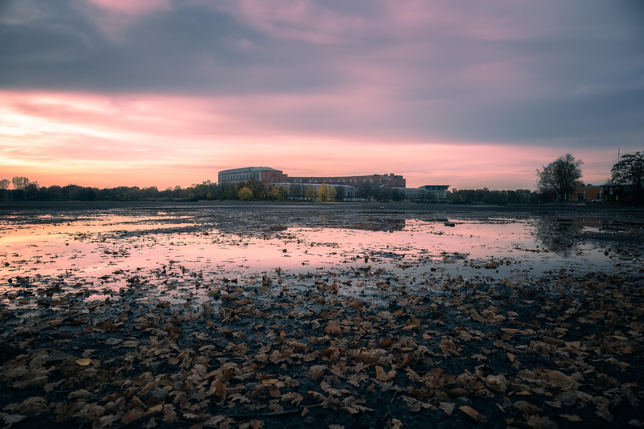 découvrez l'univers fascinant des zones humides, des écosystèmes riches en biodiversité qui jouent un rôle crucial dans la régulation de l'environnement. apprenez-en plus sur leur importance pour la faune et la flore, ainsi que sur les menaces qui pèsent sur ces habitats essentiels.