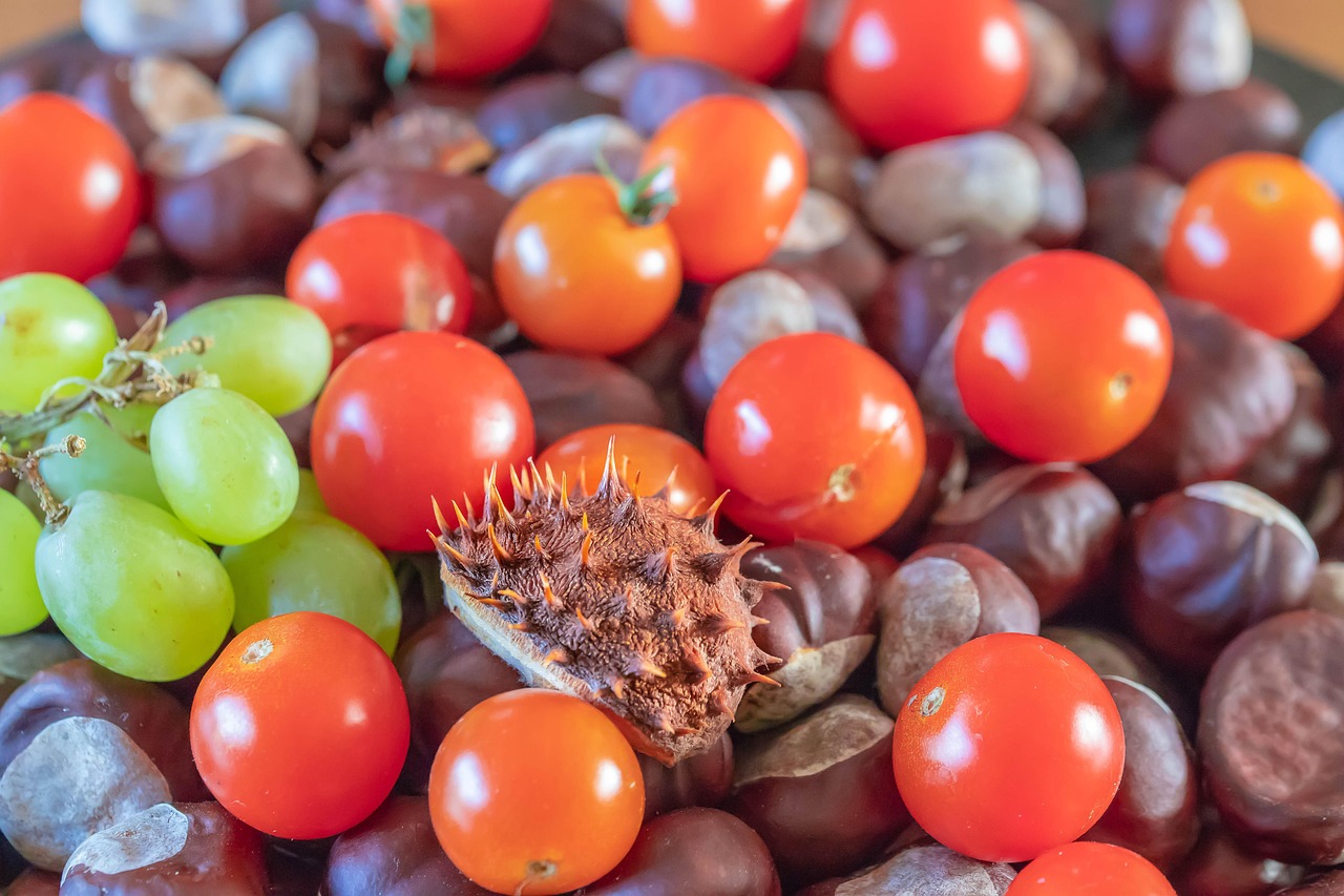 découvrez notre sélection de produits locaux de saison, frais et savoureux, pour une cuisine de qualité et respectueuse de l'environnement.