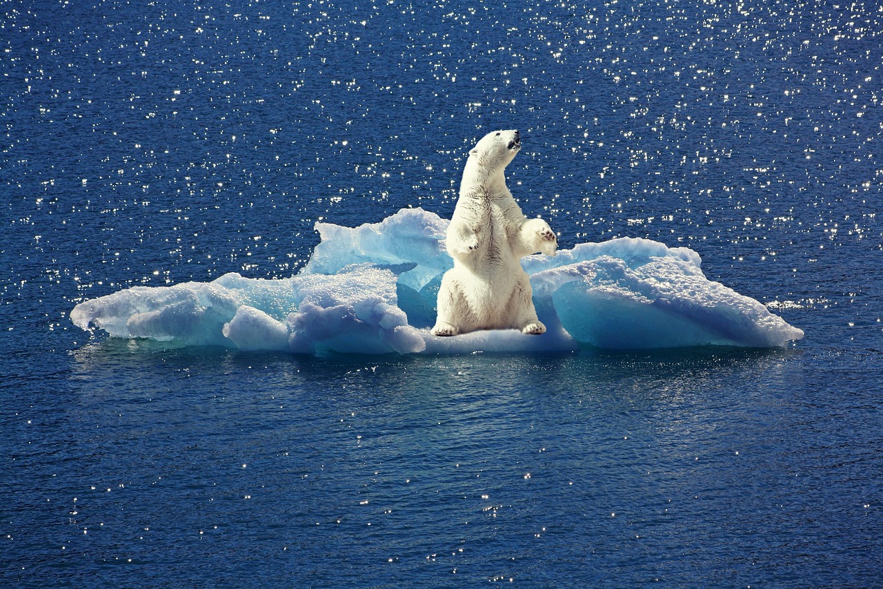 découvrez comment les enjeux climatiques influencent la géopolitique mondiale, modifient les relations internationales et redéfinissent les stratégies des pays autour des ressources et du développement durable.