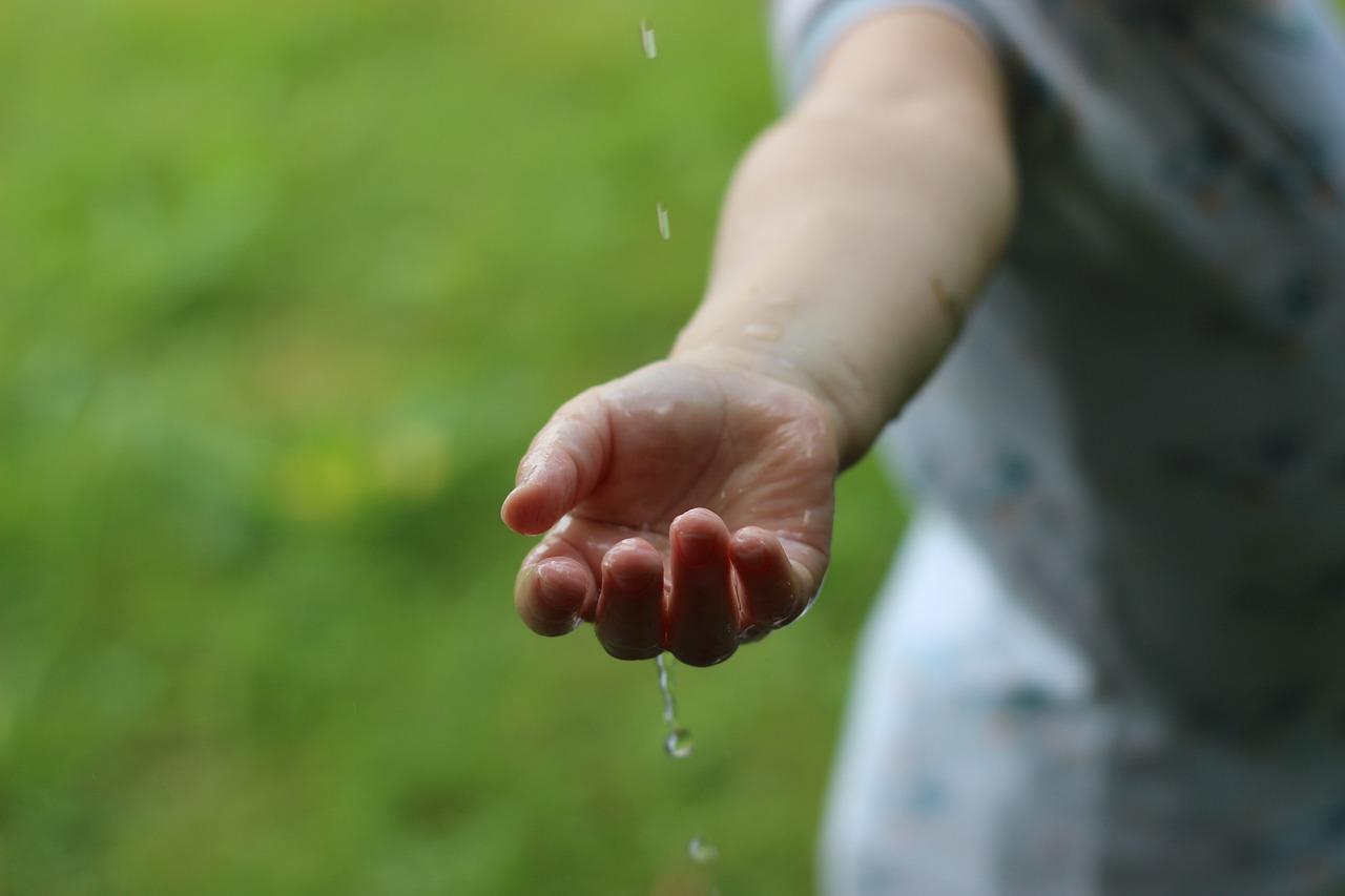 découvrez des pratiques durables pour un mode de vie respectueux de l'environnement. apprenez comment réduire votre empreinte écologique grâce à des conseils simples et des stratégies efficaces.