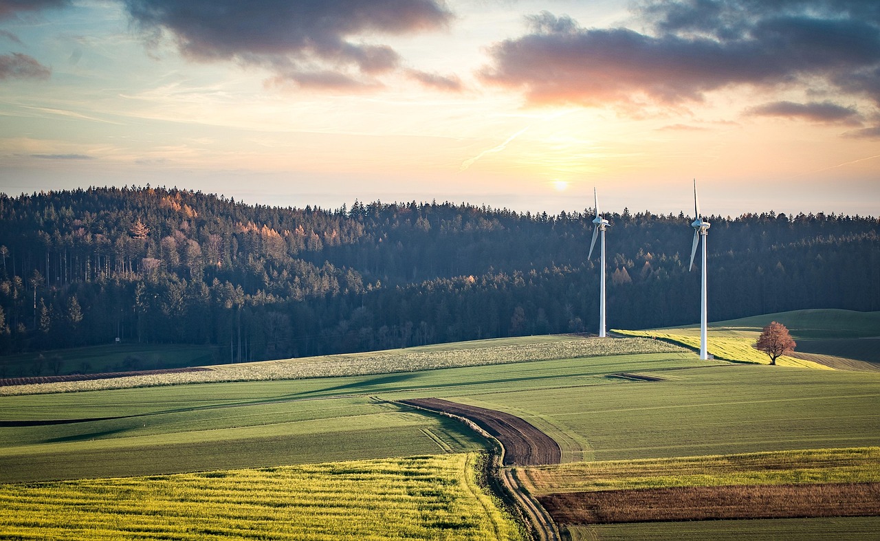 découvrez l'importance de la protection des paysages pour préserver notre environnement naturel et promouvoir la biodiversité. explorez les initiatives et les stratégies permettant de sauvegarder nos espaces naturels face aux enjeux contemporains.