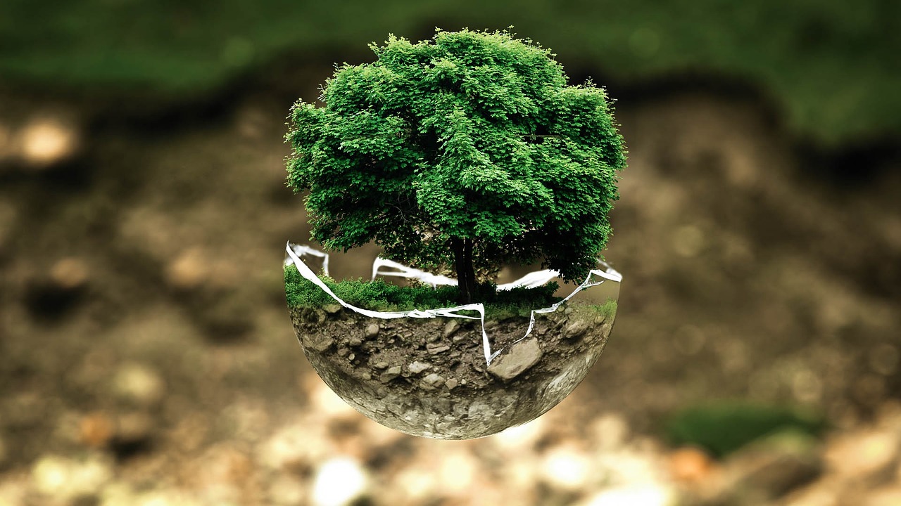 découvrez les enjeux de l'évaluation environnementale, un processus clé pour analyser l'impact des projets sur l'environnement. cette démarche permet de garantir une meilleure durabilité et de protéger les ressources naturelles, tout en impliquant les parties prenantes dans la prise de décision.