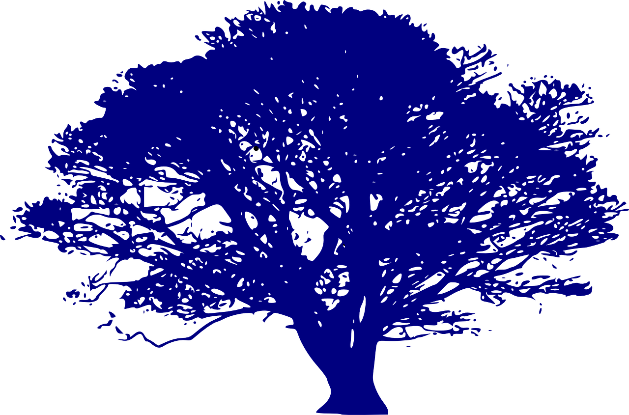 découvrez l'importance des ressources en eau, leur gestion durable et les enjeux décisifs pour l'environnement et le développement. informez-vous sur les défis liés à l'eau et les solutions innovantes pour préserver cette précieuse ressource.