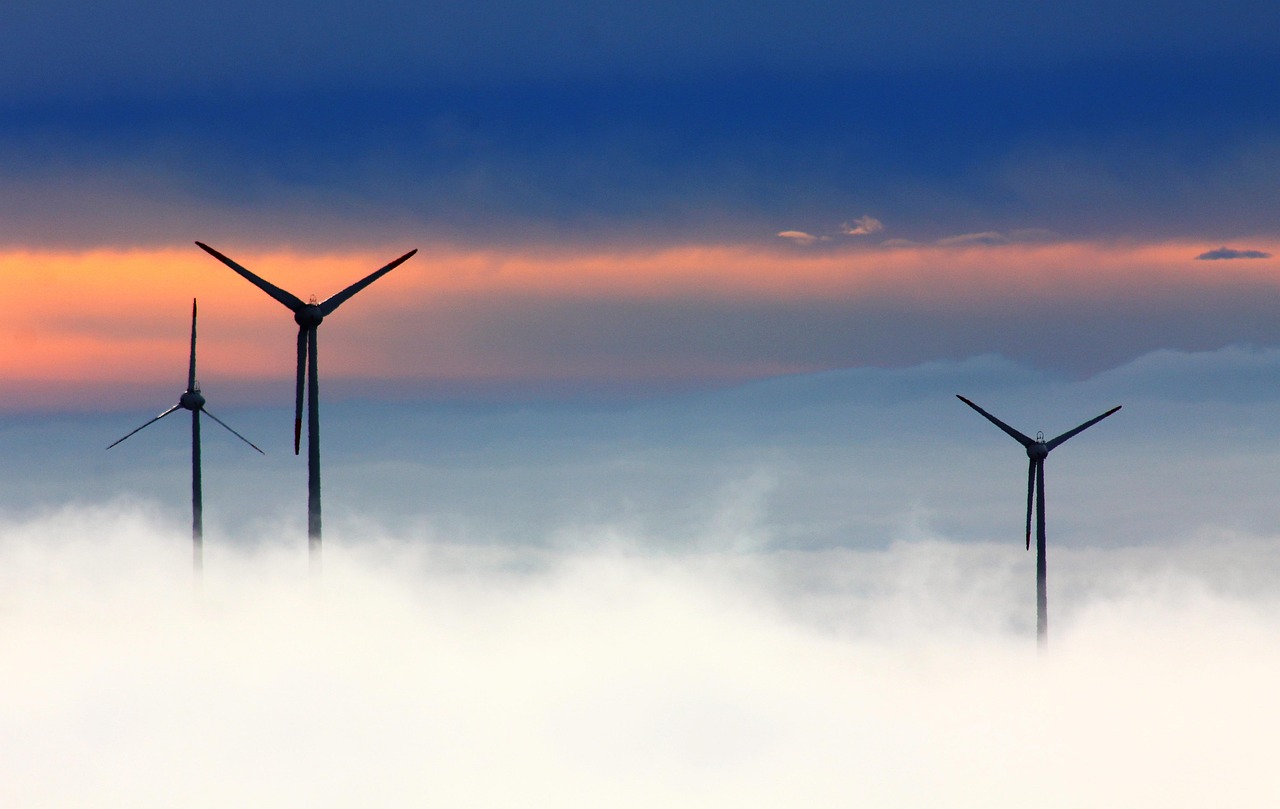 découvrez nos produits de nettoyage écologiques, efficaces et respectueux de l'environnement pour une maison propre et saine.