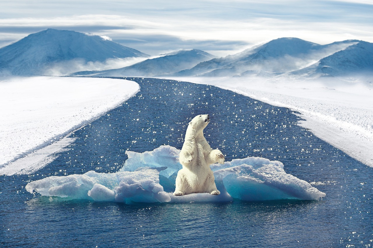 découvrez les dernières actualités, informations et analyses sur le climat, les causes du changement climatique et les solutions pour protéger notre planète.