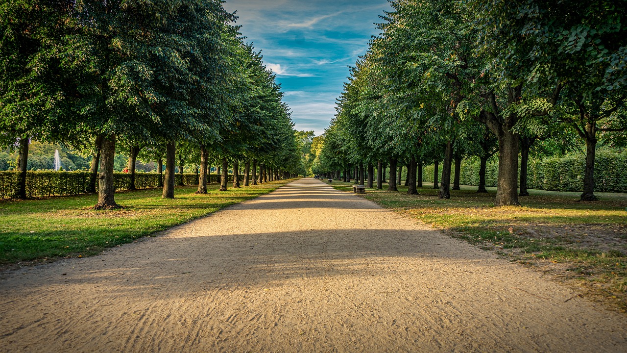 découvrez les opportunités d'investissement durable avec notre guide sur les investissements verts. engagez-vous pour un avenir respectueux de l'environnement tout en maximisant votre retour sur investissement.