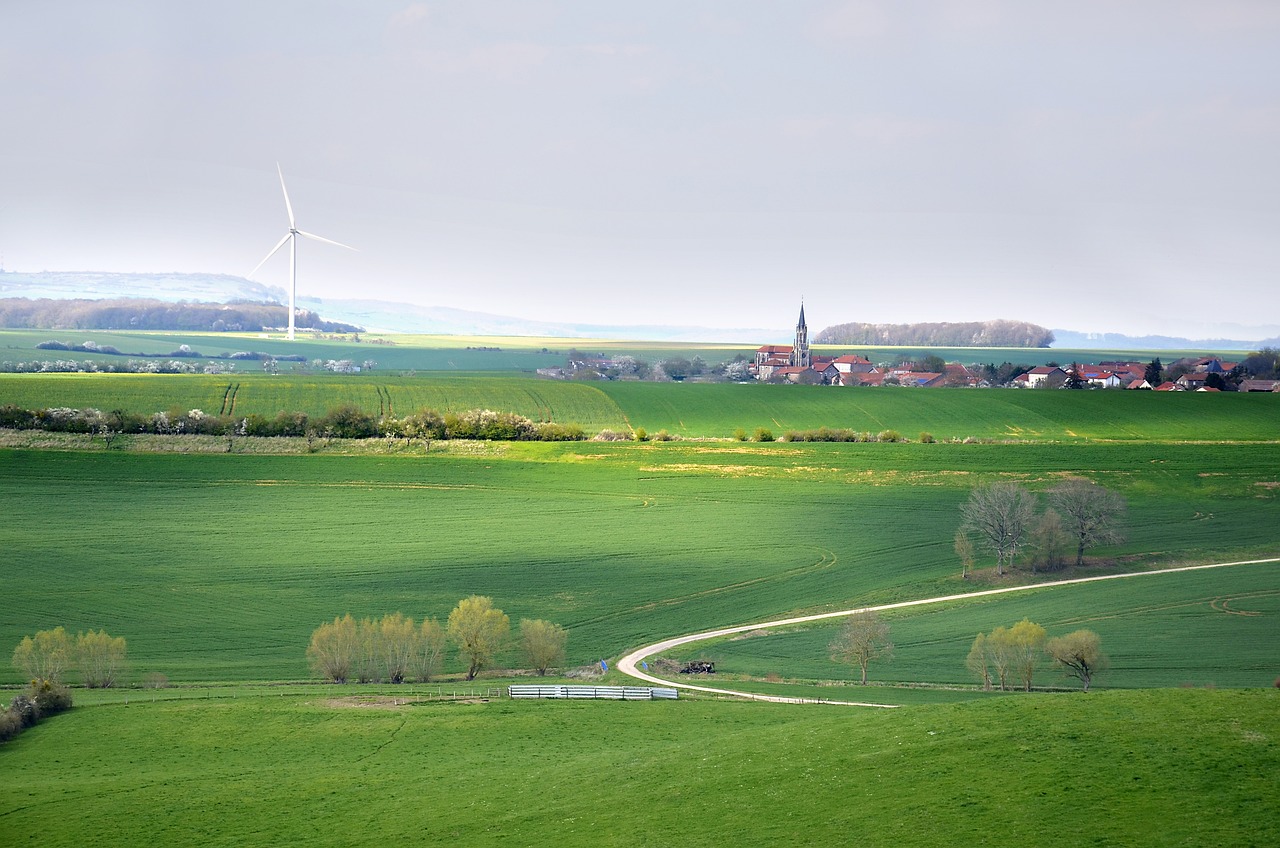 découvrez les principes du développement durable, une approche intégrée qui vise à concilier croissance économique, protection de l'environnement et bien-être social. apprenez comment adopter des pratiques écoresponsables et contribuer à un avenir durable pour les générations futures.
