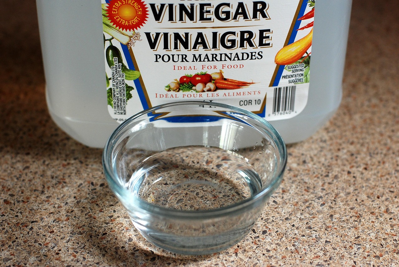 Produits ménagers écologiques : tout savoir pour un entretien sain et respectueux de l’environnement