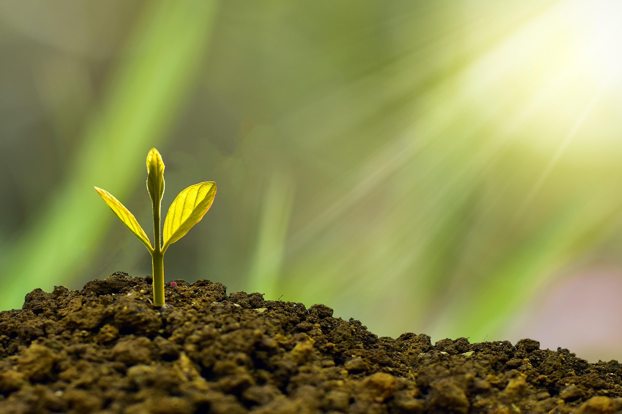 Financement vert : comprendre les enjeux et opportunités pour un avenir durable