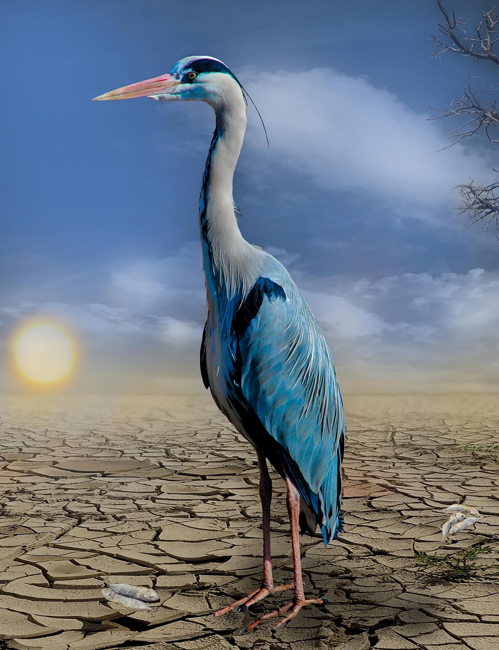 Vulnérabilité climatique : comprendre les défis d’un avenir incertain