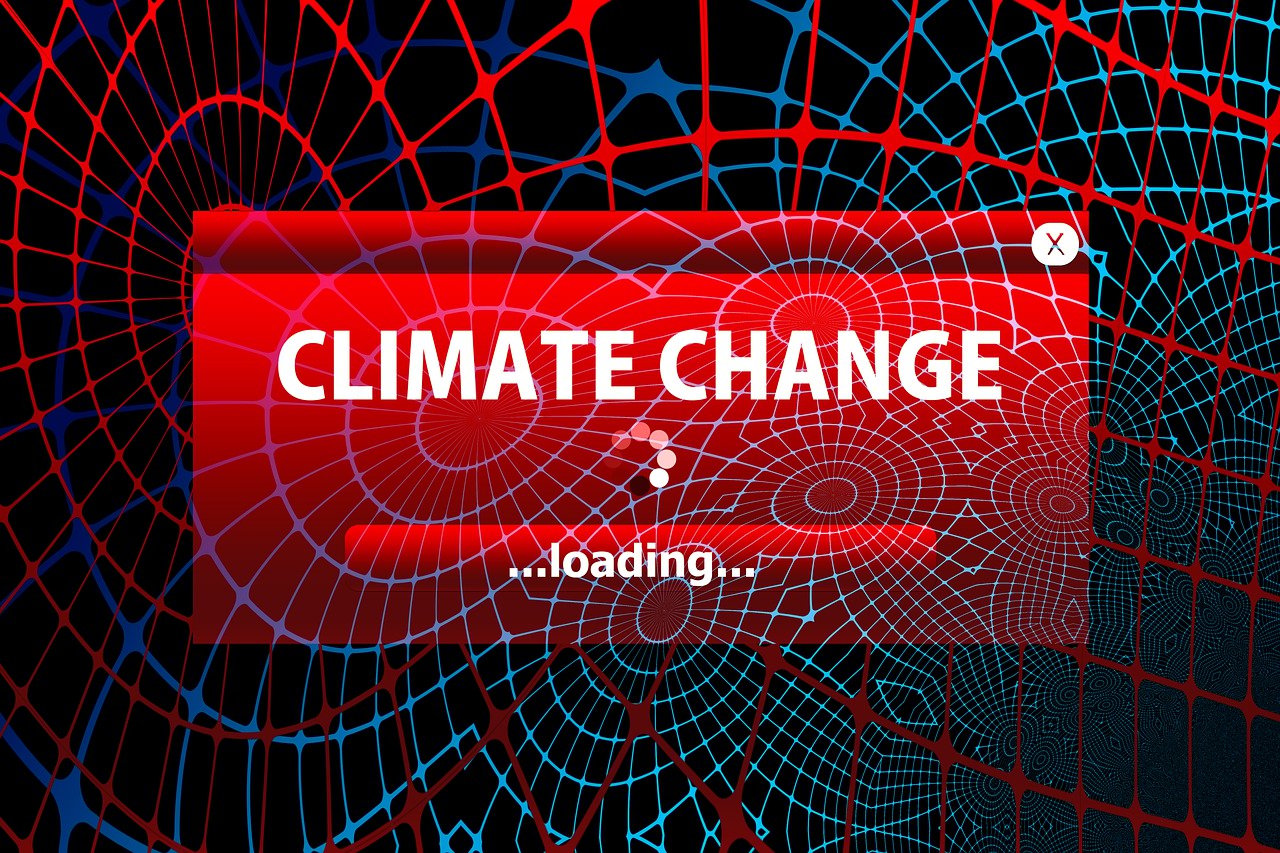 Proécologie : comprendre les enjeux de la durabilité environnementale