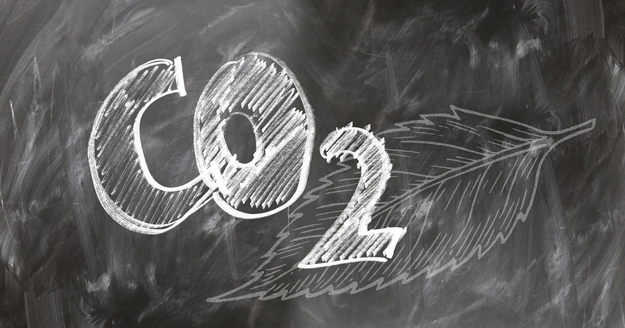 Carbone neutre : comment atteindre cet objectif pour un avenir durable