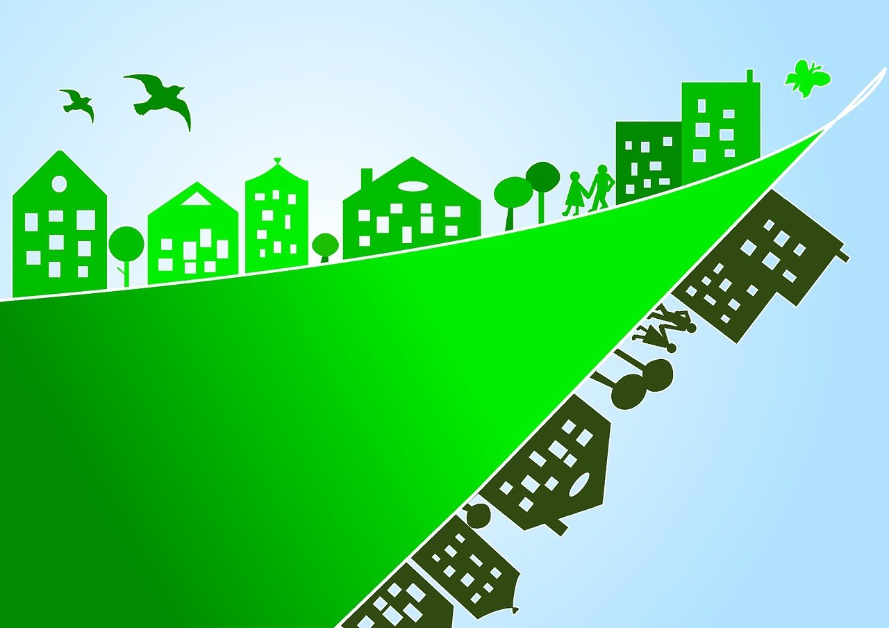 Les valeurs écologiques : un guide pour une consommation responsable
