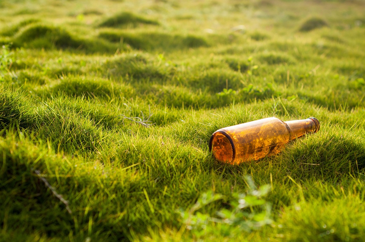 Sensibilisation environnementale : pourquoi est-elle essentielle pour notre avenir ?