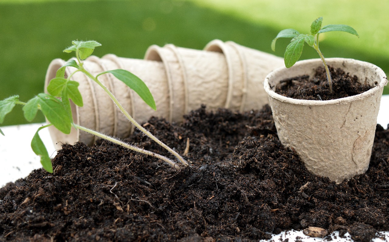 Pratiques de jardinage durable : conseils pour un jardin éco-responsable