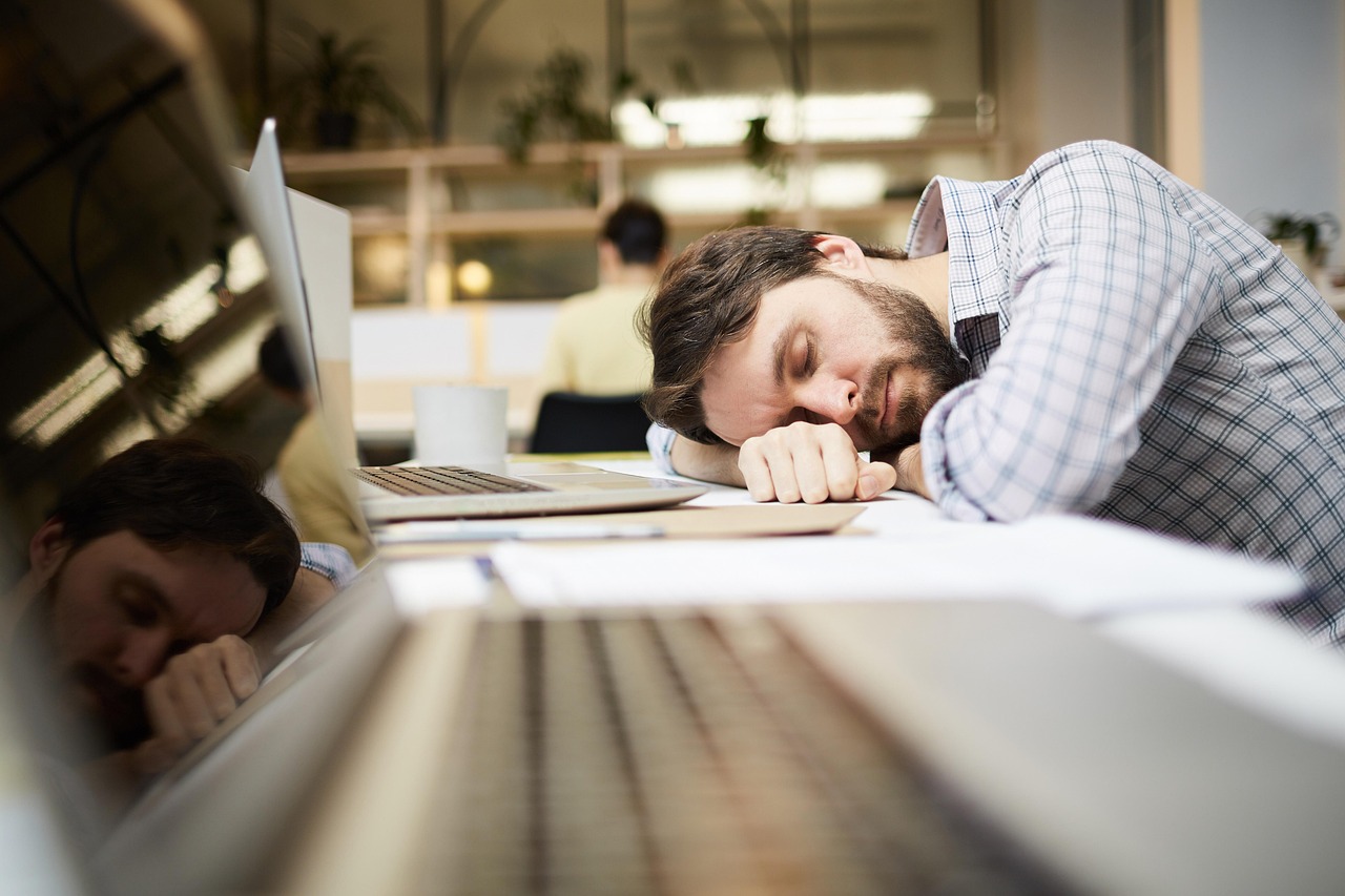 Les opportunités d’emploi vertes en hausse dans l’économie durable