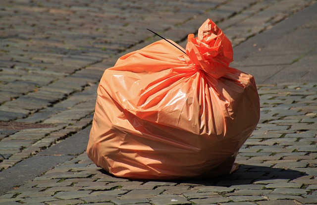 Zéro déchet : comment réduire ses déchets au quotidien