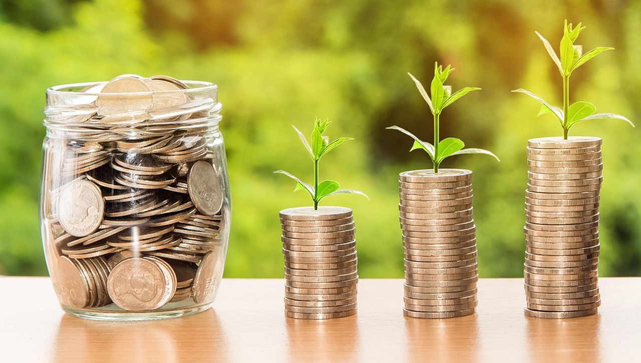 Investissement climatique : stratégies pour un avenir durable