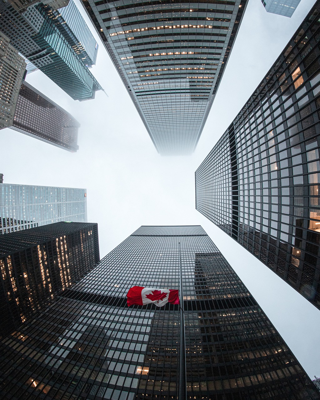 Planification urbaine verte : vers des villes durables et éco-responsables