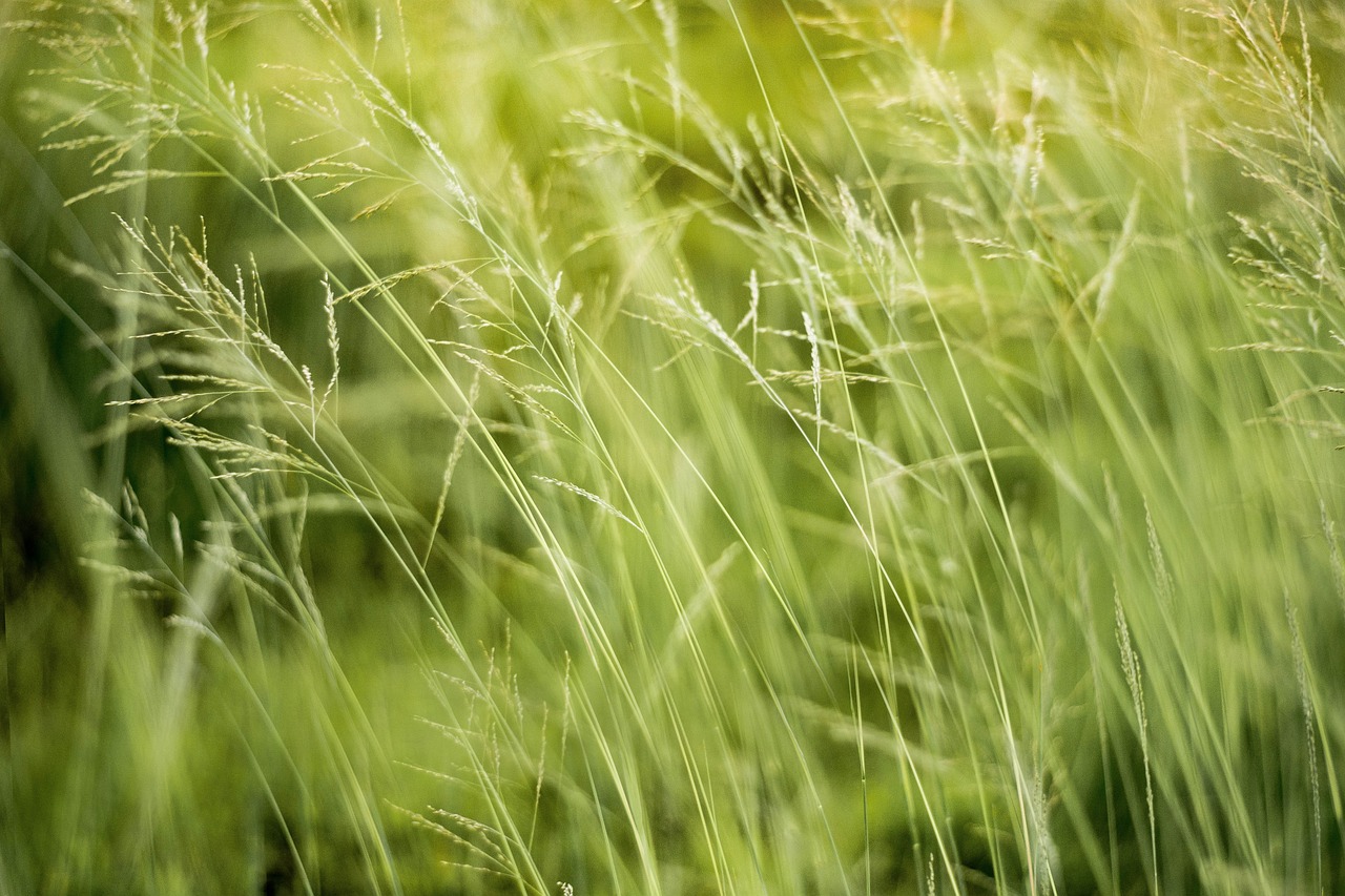 Les meilleurs outils pour les formateurs en environnement